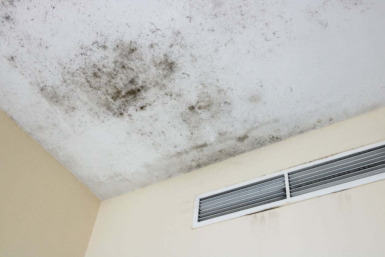 Is Black Mold on Bathroom Ceiling Dangerous?