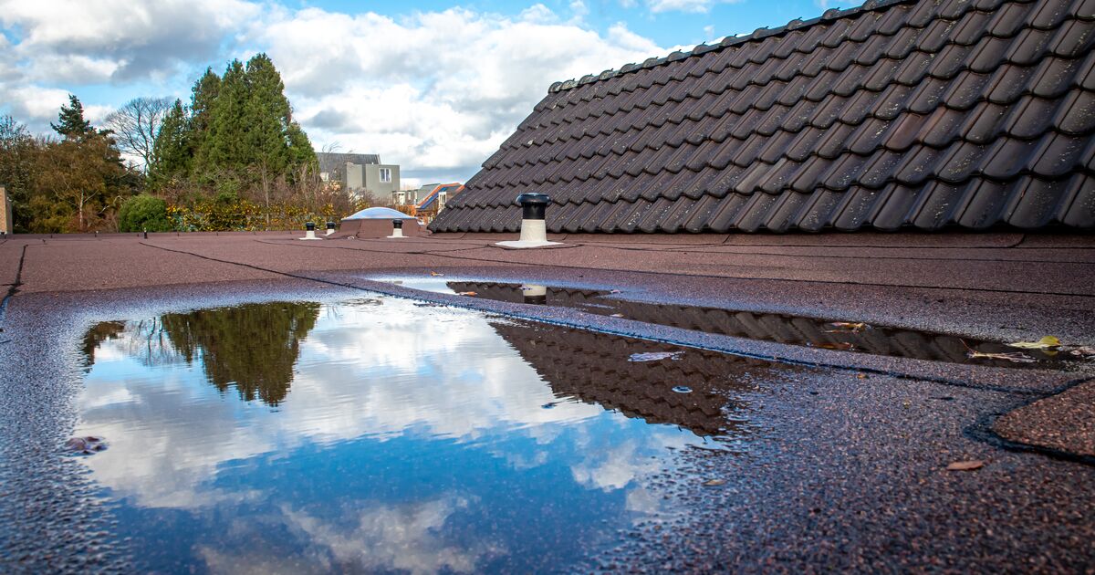 should flat roofs have puddles