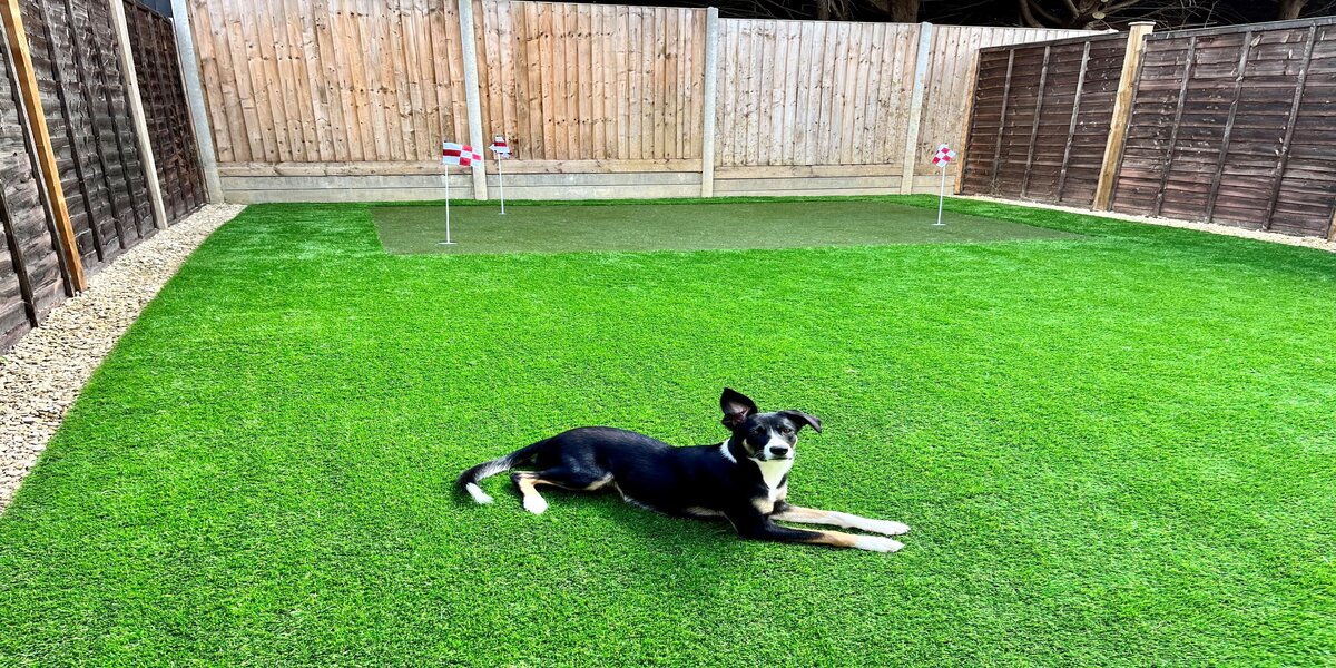 is artificial grass too hot for dogs