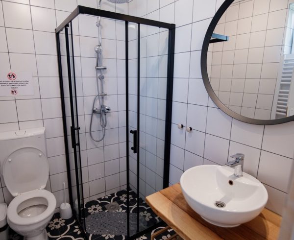Compact shower room with a corner shower enclosure, WC and basin