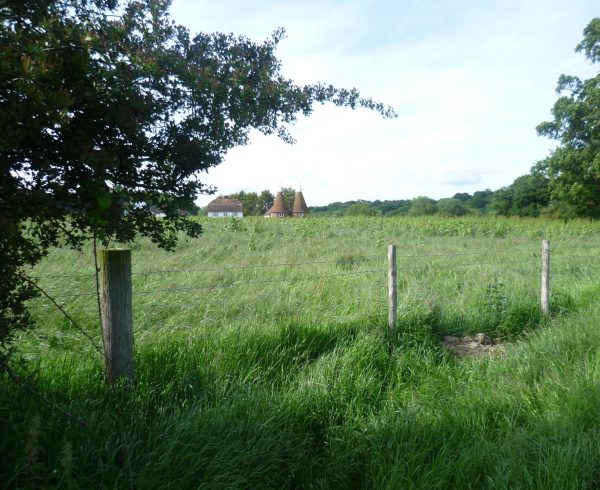 An oast house and farmhouse seen across meadows on the High Weald in Kent